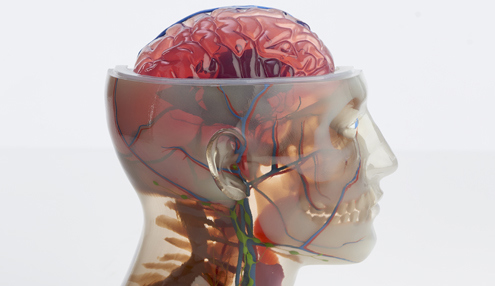 color 3d printing for concept medical model