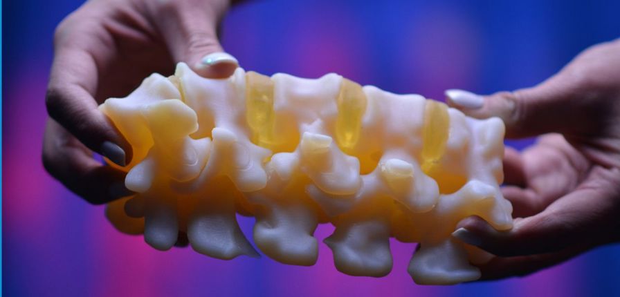 Biomechanical bone data hero image.