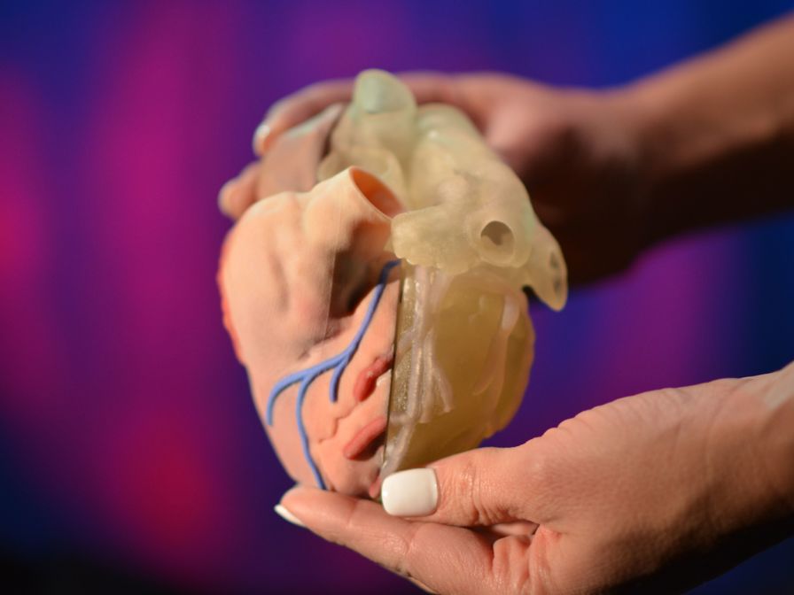 Woman holding 3D printed heart