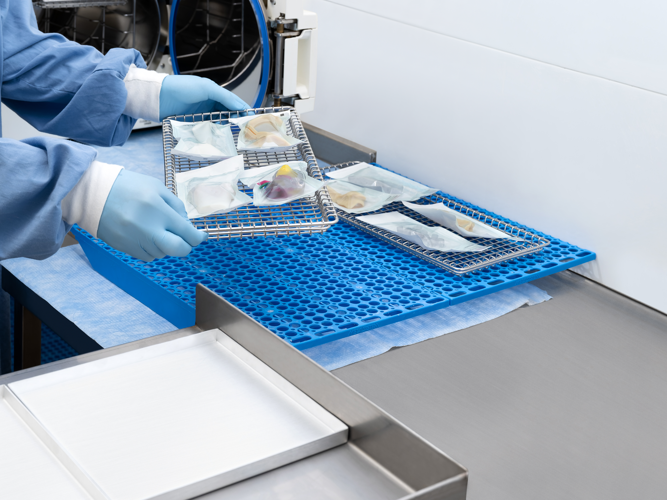 Sterilized  3D Medical Models