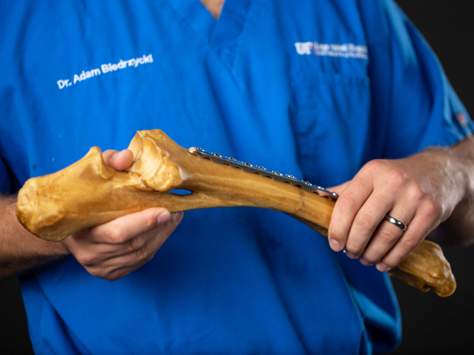 3D Printing VetMed Studio MCM 3140