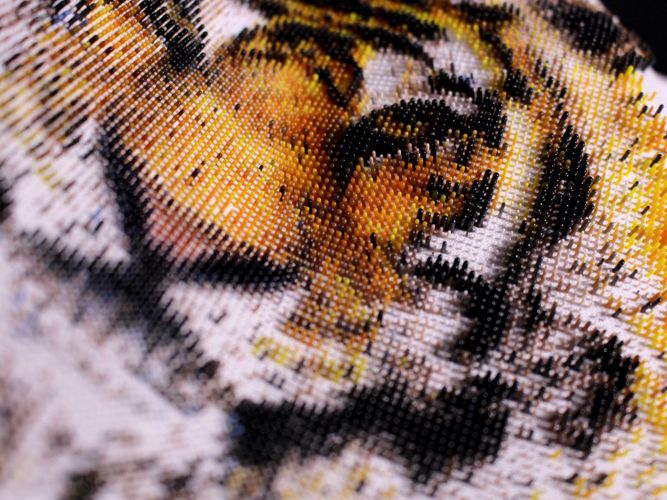 3d printed fashion design sample tiger patern