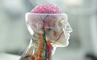 polyjet-printed medical head