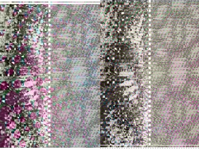 Travis Fitch SSYS Swatch Book