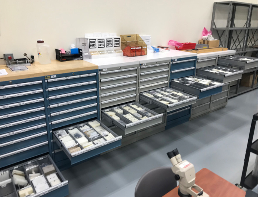 Safety First with Ergonomics Personalized