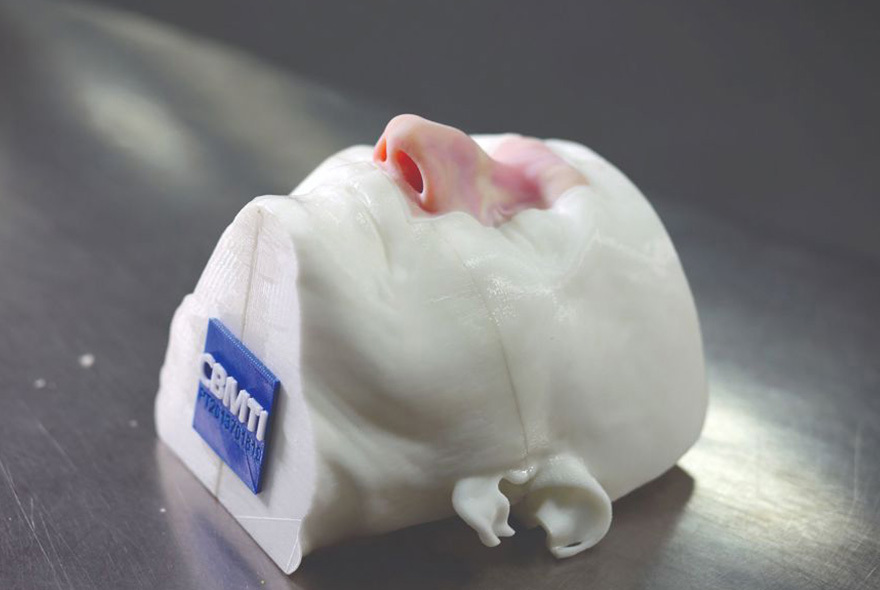 The simulation section is installed in a reusable 3D printed head fixture.