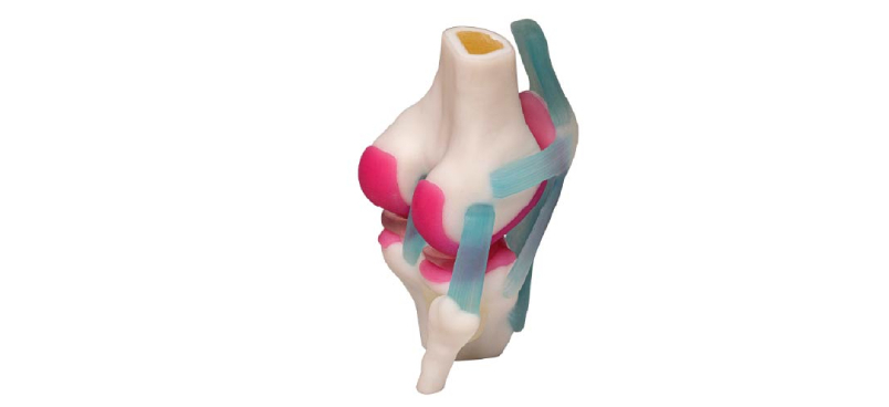 patellaimage