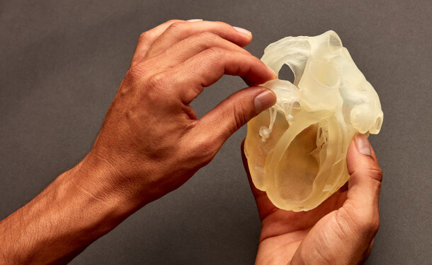 3D Printed Medical Model of a Heart in someone's hands | Stratasys Direct