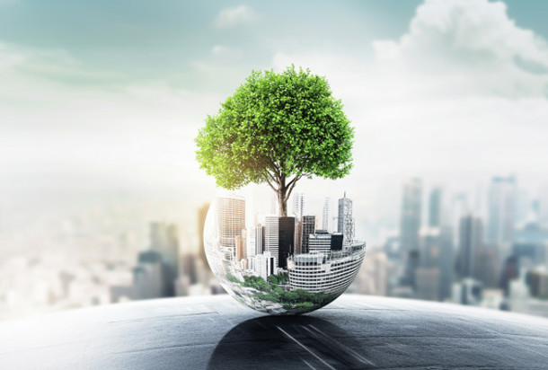 Tree overlooking cityscape