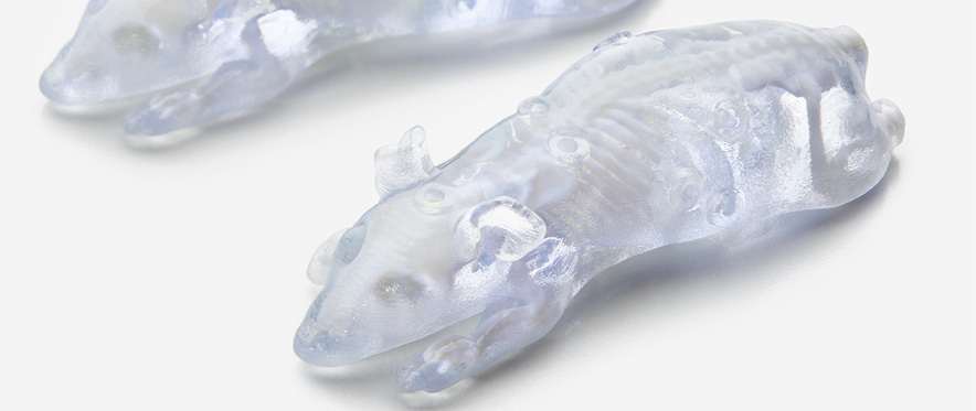 Phantech BioMouse PolyJet 3D Printed by Stratasys Direct