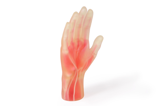 DAP anatomical hand 3d printing for medical